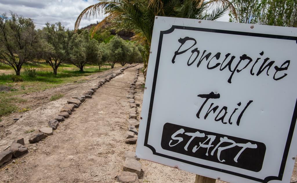 Olive Grove Guest Farm Villa Beaufort West Eksteriør billede