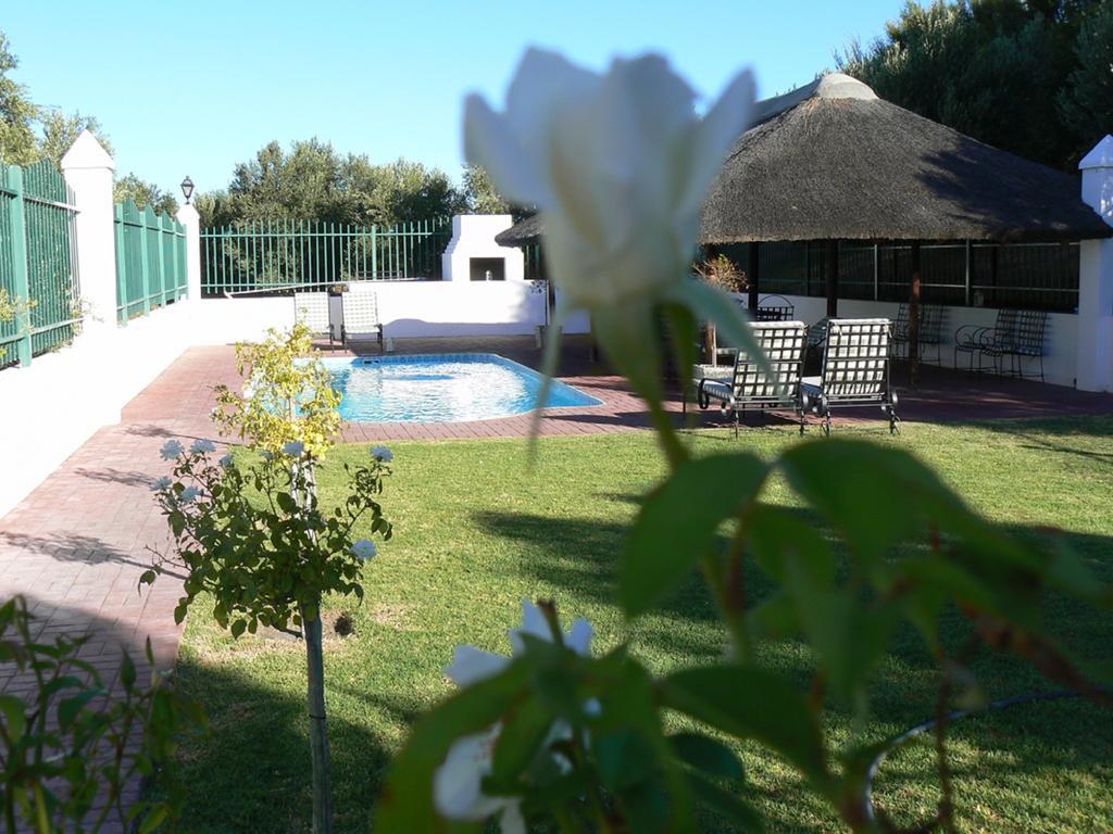 Olive Grove Guest Farm Villa Beaufort West Værelse billede